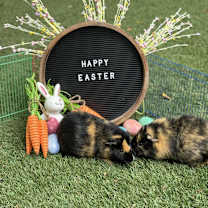 Thumbnail photo of Klaus #3