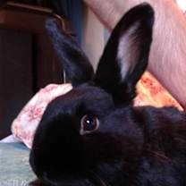 Thumbnail photo of Simone #1