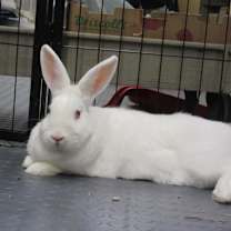 Thumbnail photo of Alecia #1