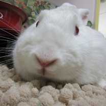 Thumbnail photo of Alecia #2