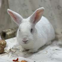 Thumbnail photo of Tina #1