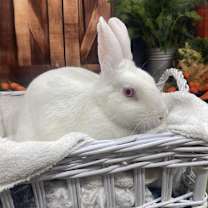 Thumbnail photo of Tina #2