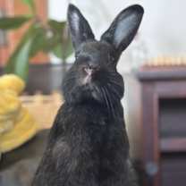 Thumbnail photo of Sofia #2