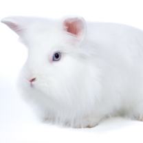 Thumbnail photo of Wendy #2