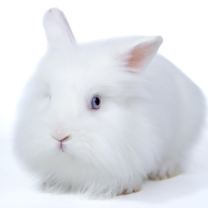 Thumbnail photo of Wendy #3