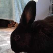Thumbnail photo of Simone #3