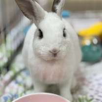 Thumbnail photo of Motherboard #3