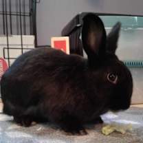 Thumbnail photo of Simone #2