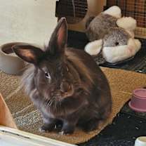 Thumbnail photo of Raquel #1