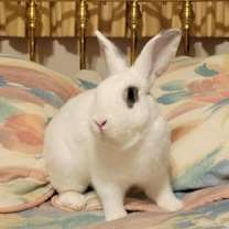 Thumbnail photo of Noel ❄️ #2