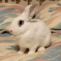 Thumbnail photo of Noel ❄️ #3