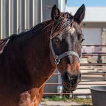 Thumbnail photo of Tuesday #1