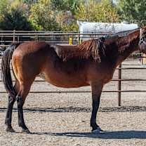 Thumbnail photo of Tuesday #2