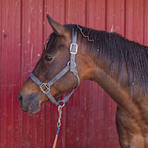 Thumbnail photo of Tuesday #3