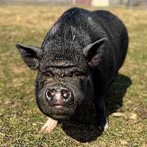 Thumbnail photo of Aaron #1