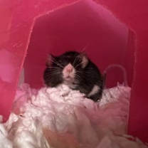 Thumbnail photo of Arthur #2