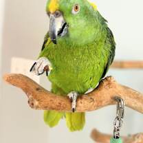 Thumbnail photo of Brussels #1