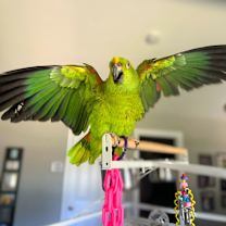 Thumbnail photo of Brussels #2