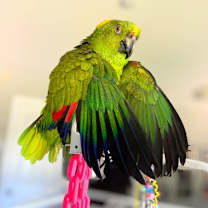 Thumbnail photo of Brussels #3