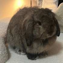 Thumbnail photo of Bunny Sanders #2
