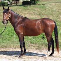 Thumbnail photo of RIDDLE #1