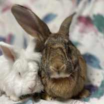 Thumbnail photo of Luke #1