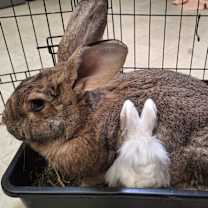 Thumbnail photo of Luke #2