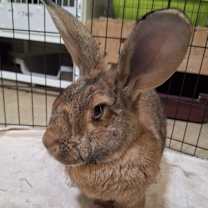 Thumbnail photo of Luke #3