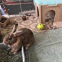 Thumbnail photo of Luke #4