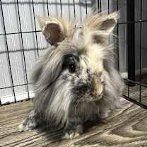 Thumbnail photo of Ash and Amos #2