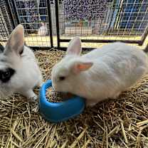 Thumbnail photo of Blanca #3