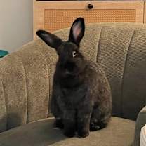 Thumbnail photo of Sophia & Louise #2