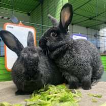 Thumbnail photo of Louise & Sophia #1