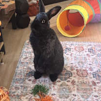 Thumbnail photo of Louise & Sophia #2