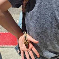 Thumbnail photo of Boo aka Baby Boo #3