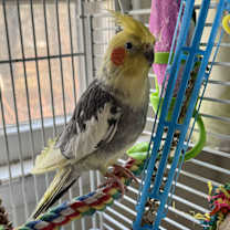 Thumbnail photo of Gaston & Maurice #1