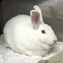 Thumbnail photo of Haley #2