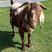 Thumbnail photo of Spot  #1