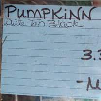 Thumbnail photo of Pumpkinn #4