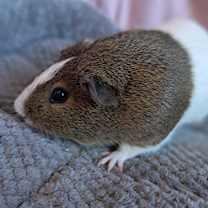 Thumbnail photo of Betty McGlown #4