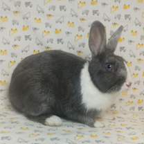 Thumbnail photo of Guthrie #2