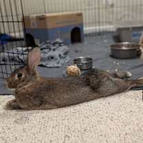 Thumbnail photo of Princess #3