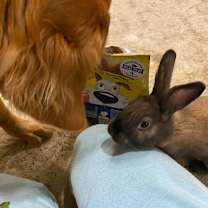 Thumbnail photo of Blue #3