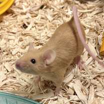 Thumbnail photo of Spatter #1