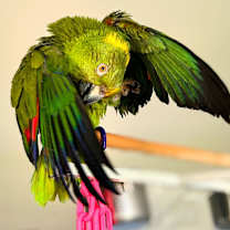 Thumbnail photo of Brussels #4