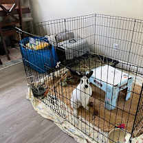 Thumbnail photo of Sasha #2