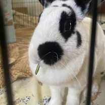 Thumbnail photo of Sasha #3