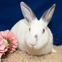 Thumbnail photo of Mirabel (resident for over 1.5 years) #1