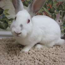 Thumbnail photo of Mirabel (resident for over 1.5 years) #3