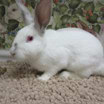 Thumbnail photo of Mirabel (resident for over 1.5 years) #4